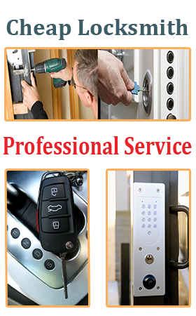 our professional Service